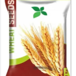 Premium High-Yield Agriculture Wheat Seeds (20kg)   (Category Suggestion)