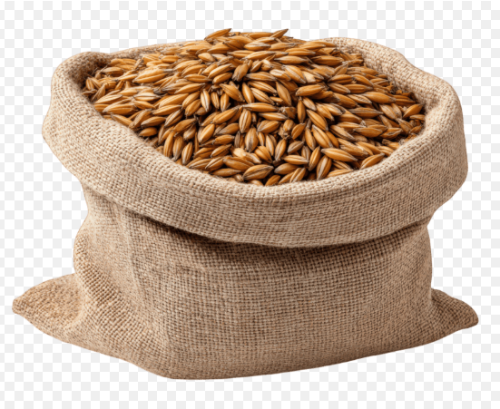 Bag of horse oats in burlap sack, farm animal food, natural grain, rustic style, healthy feed, agricultural product, isolated on transparency background Premium Natural Whole Grain Oats for Horses & Livestock – Burlap Feed Bag (Category Suggestion) - Image 1