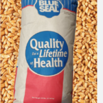 Ben's Original Boil-in-Bag Long Grain Rice – Perfect in 10 Mins (250g)  التصنيف (Category Suggestion)