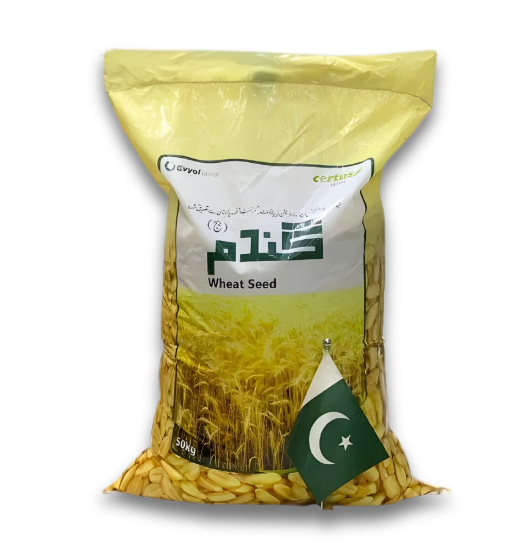 Nishan Bhakhar Super Wheat Seeds 50KG – High Yield Evyol Group – IR Farm Best Online Agriculture Store In Pakistan Evyol Group Nishan Bhakhar Super High-Yield Wheat Seeds (50kg) - Image 1
