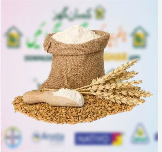 Pure Dry Wheat to make flour at home to make breads 40kg Pack Organic Wheat for sale Gandum - Kissan Ghar Kissan Ghar Pure Dry Organic Wheat Grains for Home Milling & Baking (40kg) - Image 1
